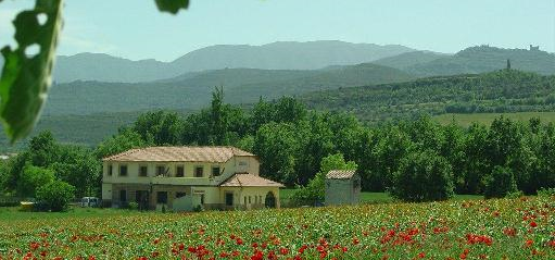 ECA PALLARS. moodle2