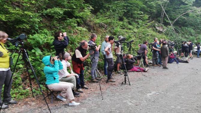 Ecoturistes Vall d'Aran Ossa
