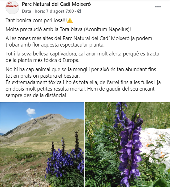 Torà Blava