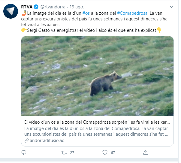 Ós bru prop d'Andorra bis