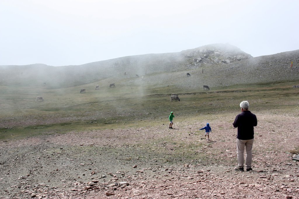 Pla obert on es veuen diverses persones a l'entorn del refugi del Niu de l'Àliga de La Molina, a 2.537 metres d'altitud. Imatge del 28 d'agost de 2020 (Horitzontal).