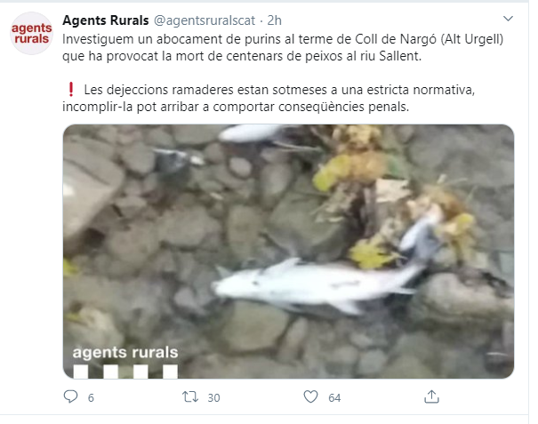 Truites riu de Sallent