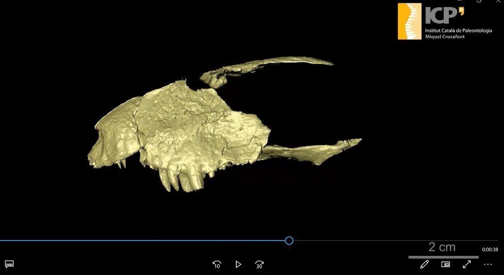 captura_video (1)