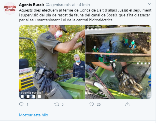 Rescat de fauna del canal de Sossís bis