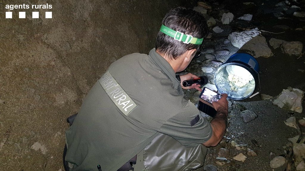 Rescat de fauna del canal de Sossís tris