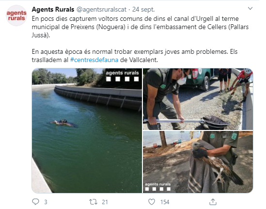 Agents Rurals voltors Cellers twitter