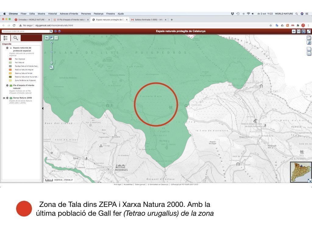 Mapa-Tala-Ger-de-Cerdanya-dins-ZEPA-i-Xarxa-Natura-2000.001