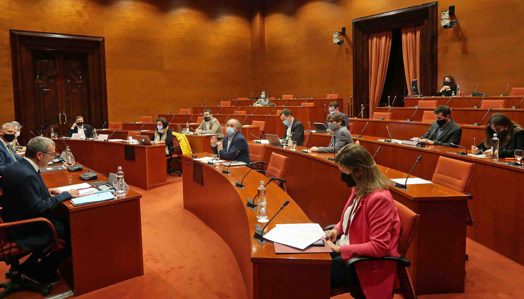 El Síndic d'Aran al Parlament