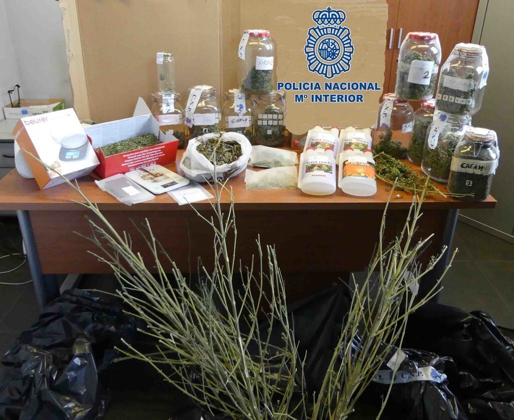 Pla obert on es veu el material decomissat per la policia espanyola després de registrar un domicili de la Seu d'Urgell on hi havia una plantació de marihuana. Imatge facilitada el 28 d'octubre de 2020 (Horitzontal).
