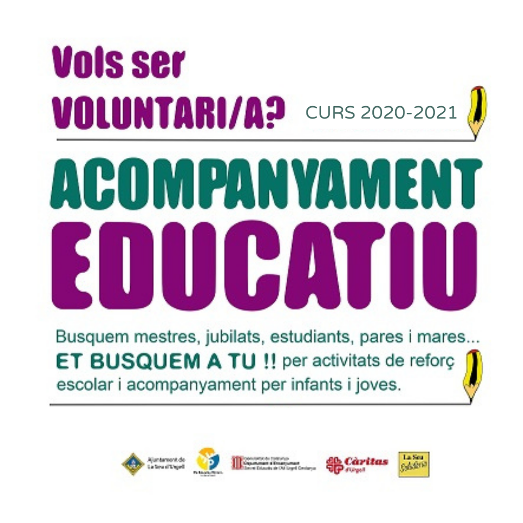 Acompanyament educatiu