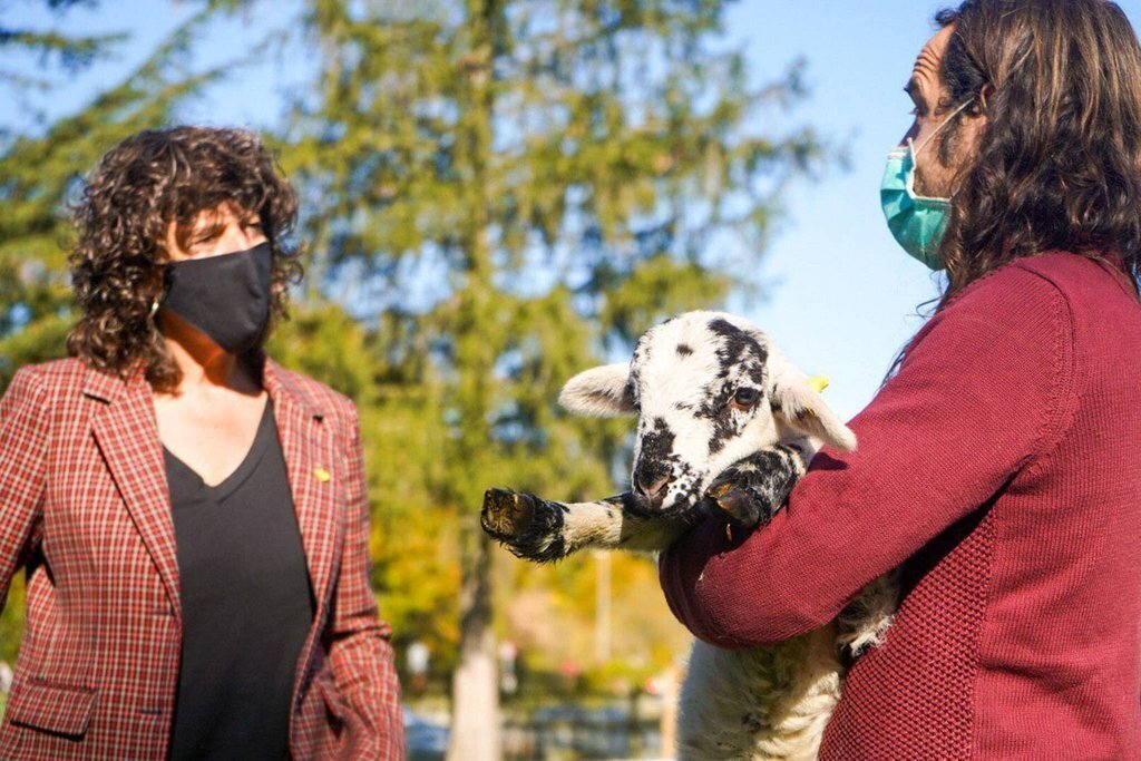 Teresa Jordà pla escorxadors
