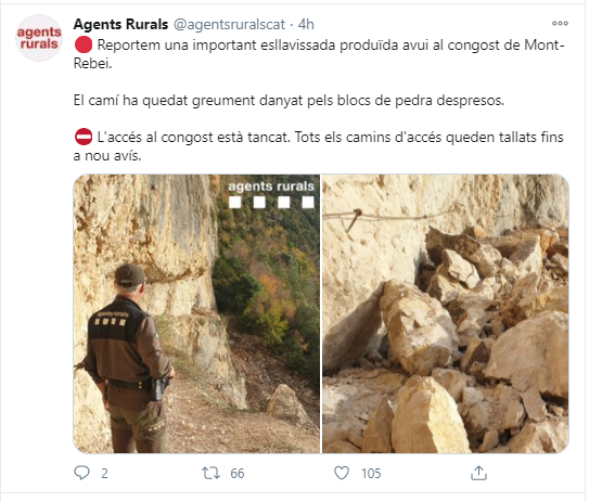 Esllavissada camí Mont Rebei