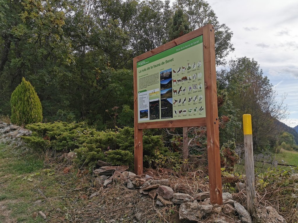 Pla obert on es pot veure un dels cartells instal·lats al Parc Nacional d'Aigüestortes que fa referència a la ruta sobre la flora i fauna de Senet. Imatge facilitada per Territori i Sostenibilitat el 19 de novembre de 2020 (Horitzontal).
