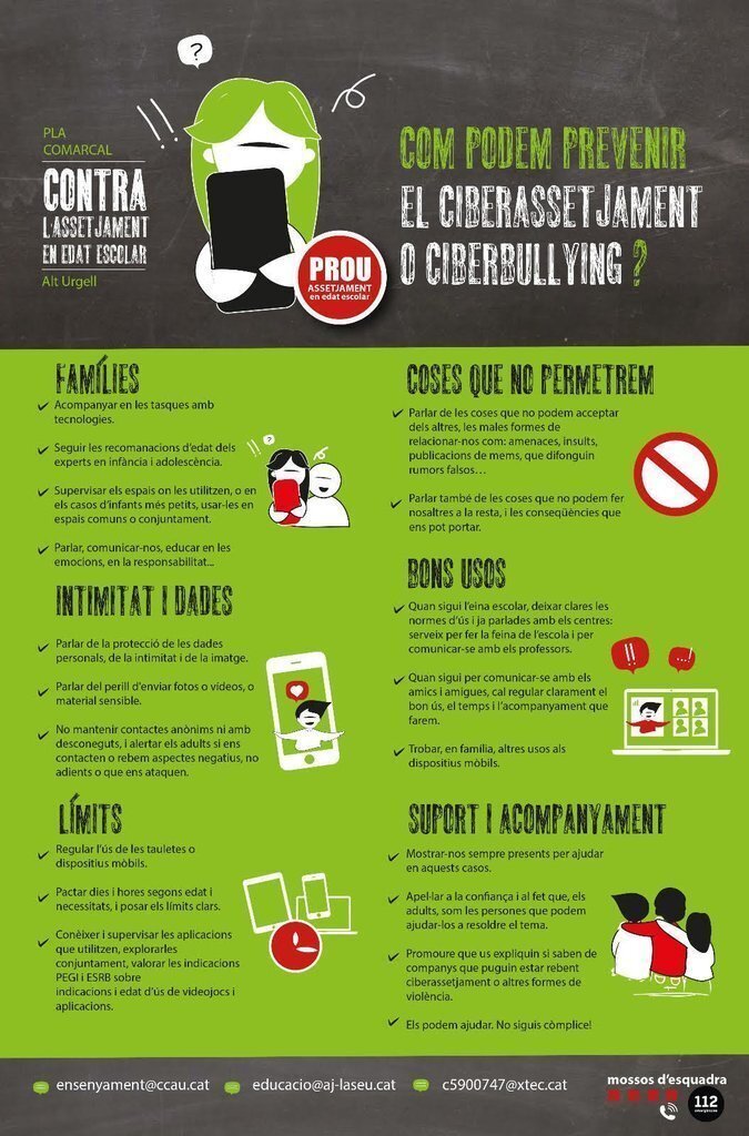 ciberassetjament