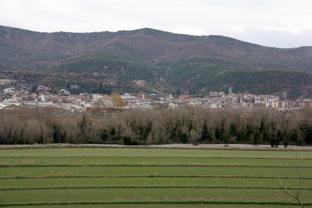 Pla obert de part de diversos camps de cultiu de Peramola (Alt Urgell), vistos des de la zona de l'estació de bombatge del reg de Peramola i Bassella i on es veu el nucli d'Oliana al fons. Imatge del 26 de novembre de 2020 (Horitzontal).