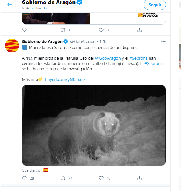 Ossa Sarousse twitter
