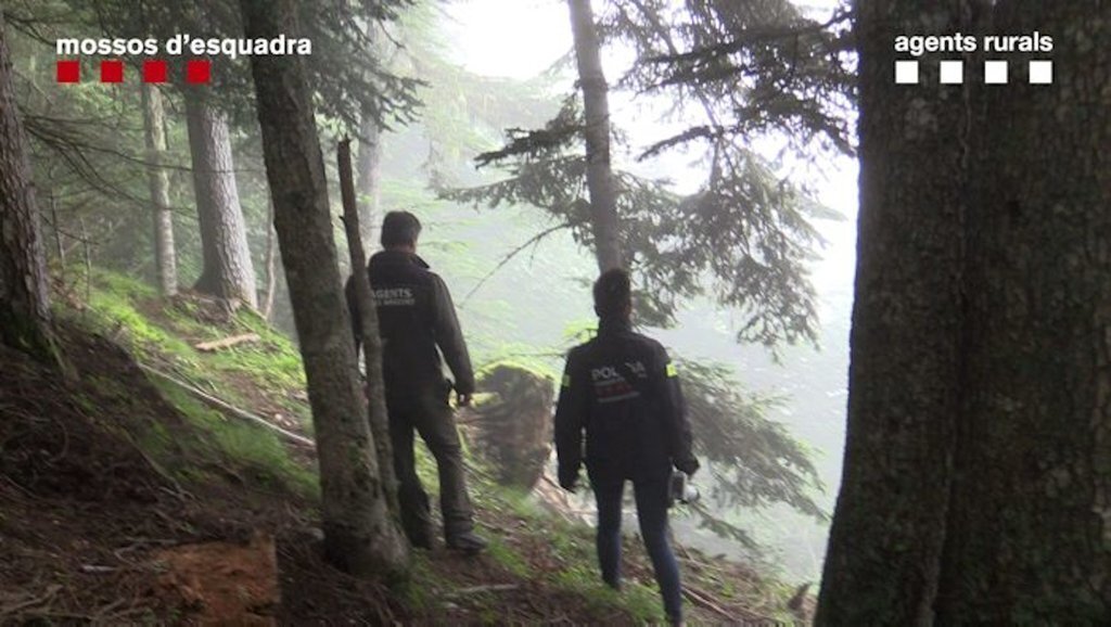 Investigació sobre la mort de l'ós Cachou. (Horitzontal)