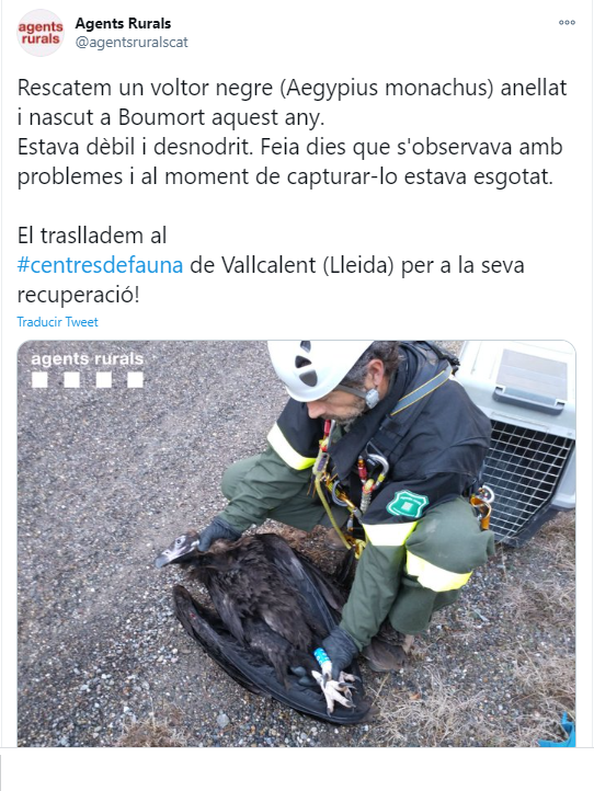 Rescat voltor Boumort
