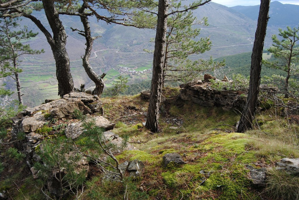 VestigisSantQuir