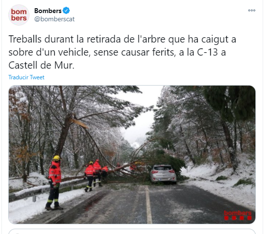 Filomena Castell de Mur twitter