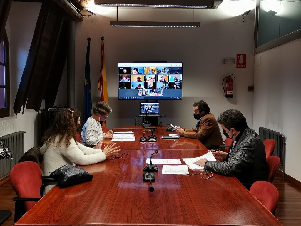 Ple febrer 2021