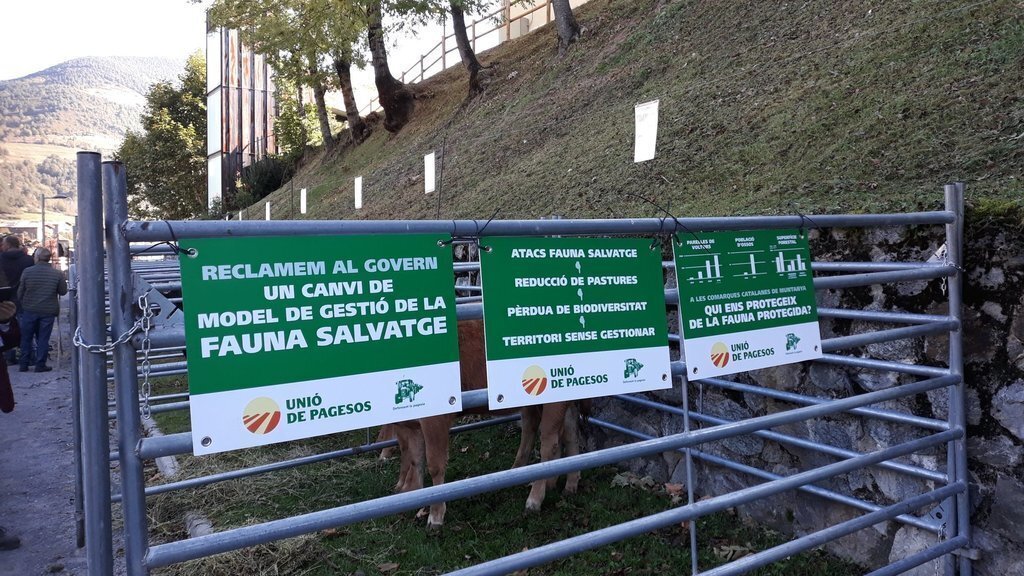 Unió de Pagesos Fauna salvatge 1