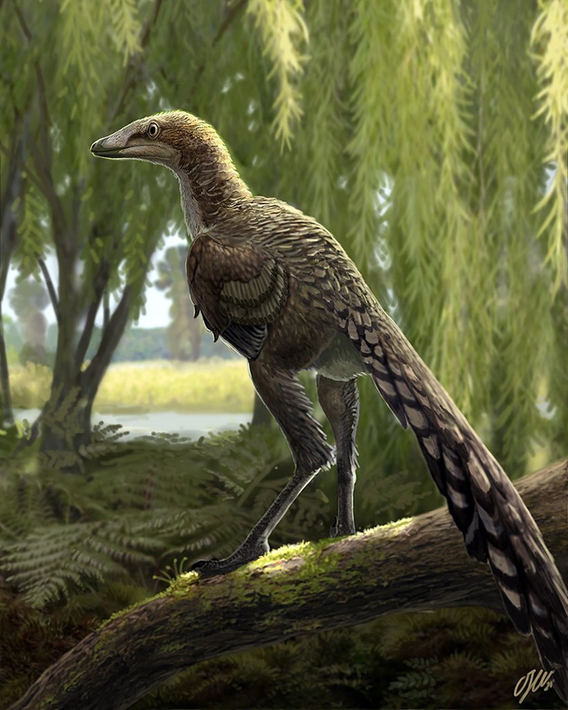 Dibuix que recrea el 'Tamarro insperatus', el dinosaure que s'ha pogut identificar a partir d'un fòssil trobat al 2003 a la Conca Dellà, al Pallars Jussà. (Horitzontal)