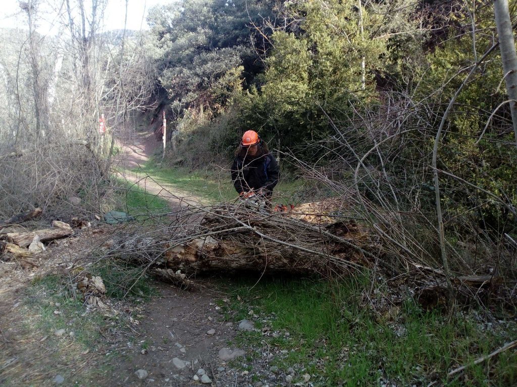Camí de Sort a Savarneda
