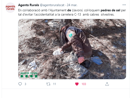 Agents Rurals pedres de sal