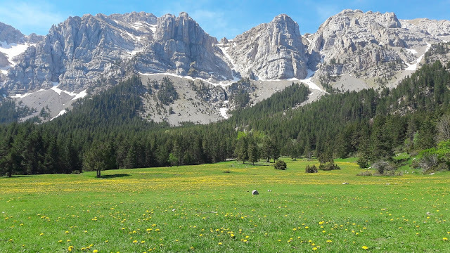 Prat de Cadí Primavera