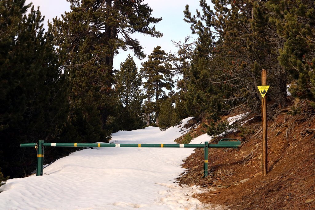 Un camí amb un rètol que indica zona de protecció de gall fer i una barrera que prohibeix el pas en aquest punt. Imatge del 18 de desembre del 2019. (horitzontal)