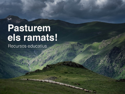 Pasturem els ramats xisqueta