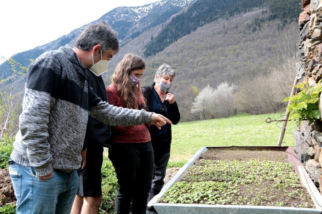 Pla general d'un grup de persones observant un planter de varietats tradicionals. Imatge del 5 de maig del 2021. (horitzontal)