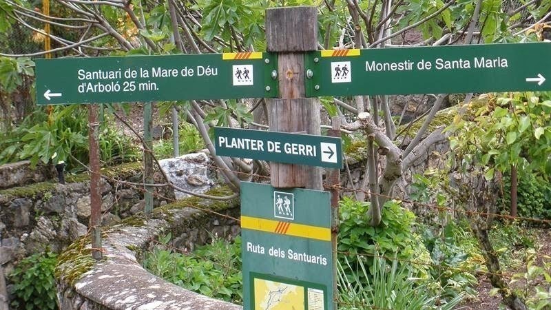 Planter de Gerri 2