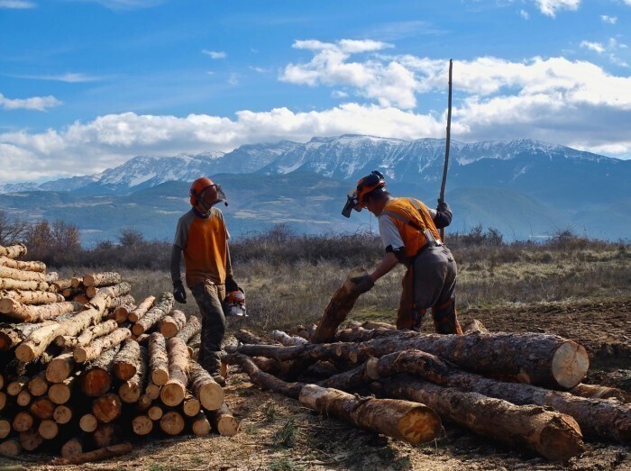 Donem vida al bosc Integra Pirineus