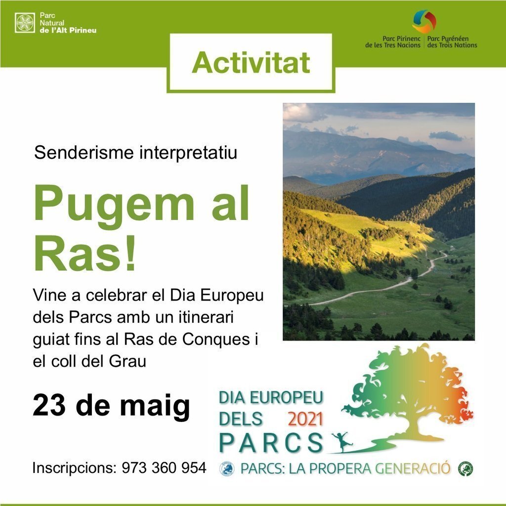 Pugem al ras