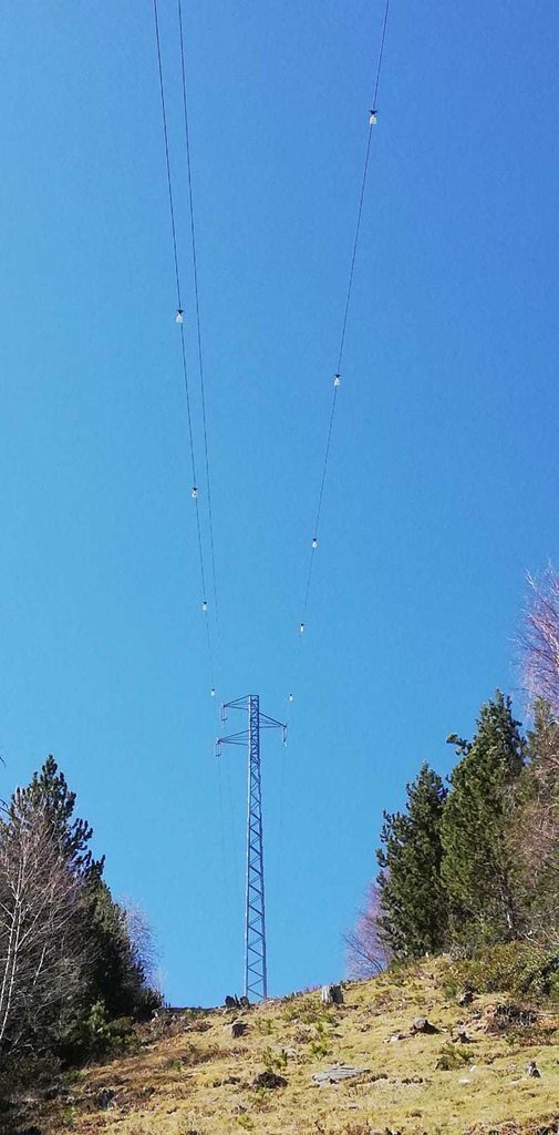 Pla general d'una línia elèctrica senyalitzada per evitar l'impacte d'aus. Imatge del 17 de maig del 2021. (vertical)