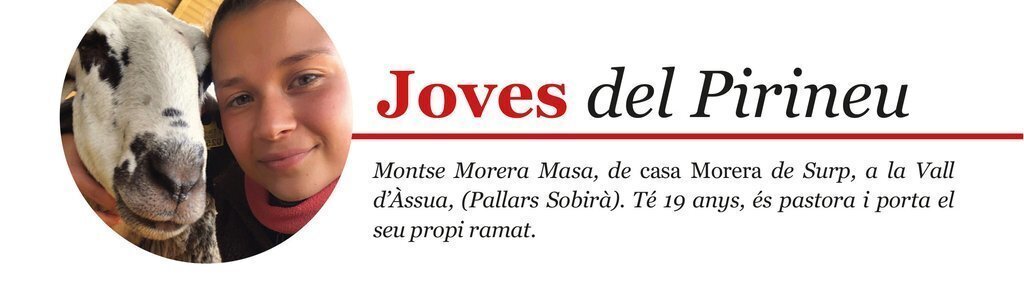 JOVES (12)