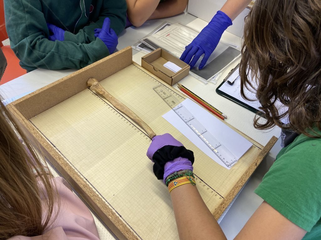 Laboratori paleoantropologia