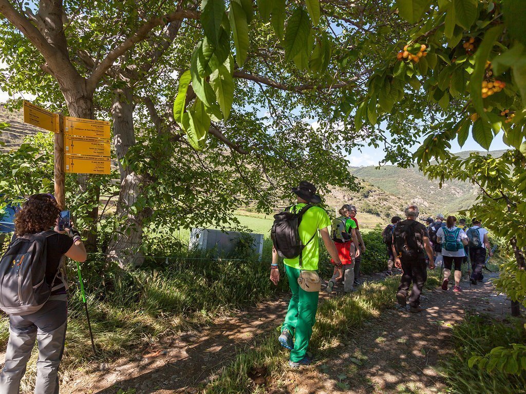 Veïns caminant la la xarxa senyalitzada