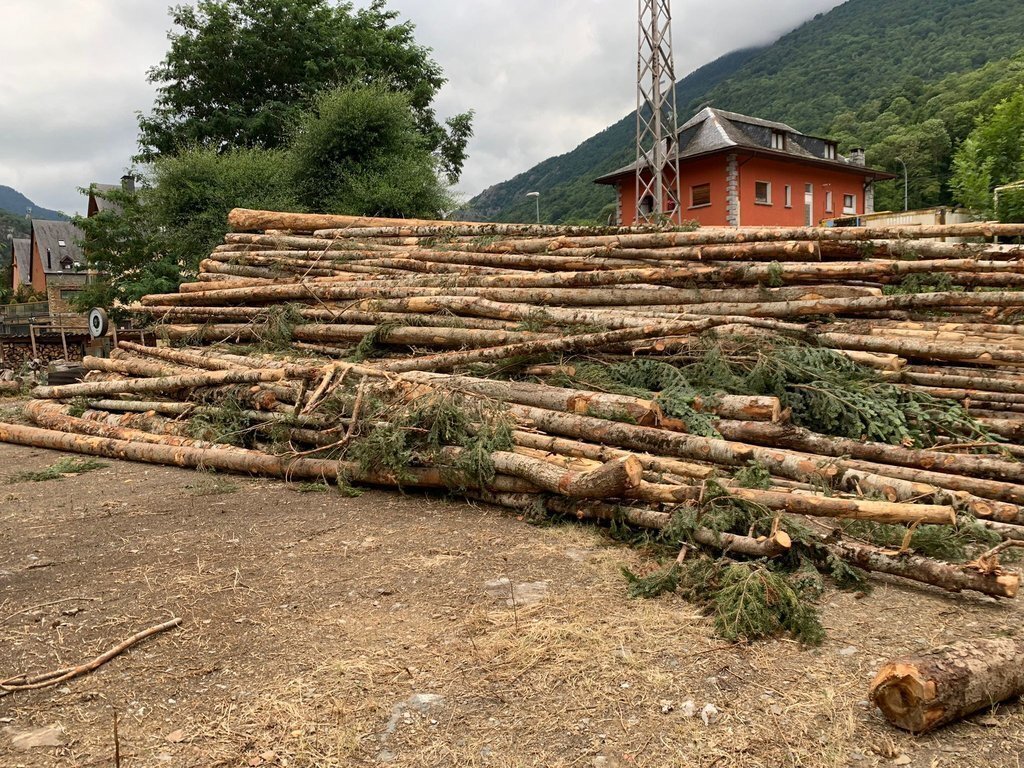 Pla obert d'alguns dels arbres talats a la pista forestal de Tuca-Pontet, a la Val d'Aran, per aprofitar-ne la fusta. (Horitzontal)