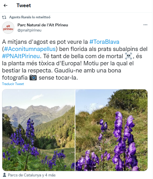 Tora Blava PNAP