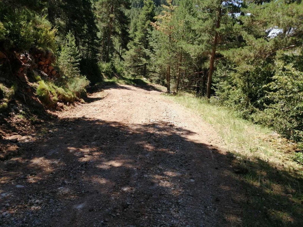 Pista forestal Sant Salvador 2