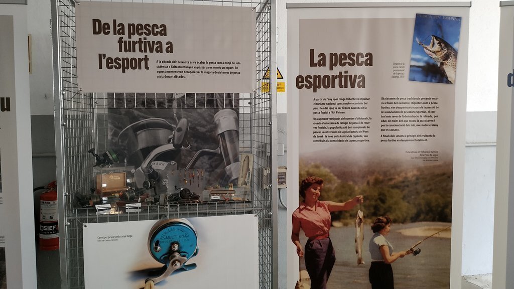 Exposició_3
