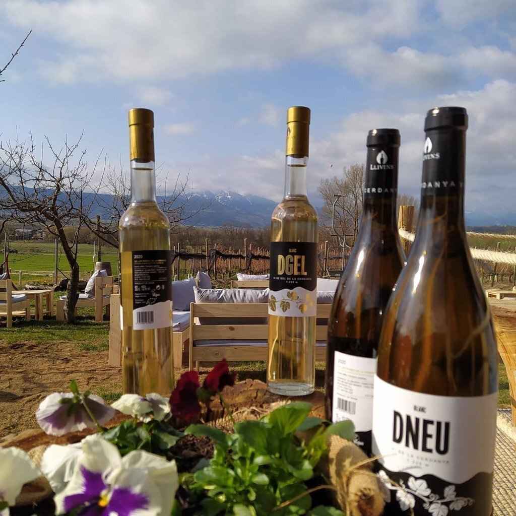 Llivins celler Cerdanya 1