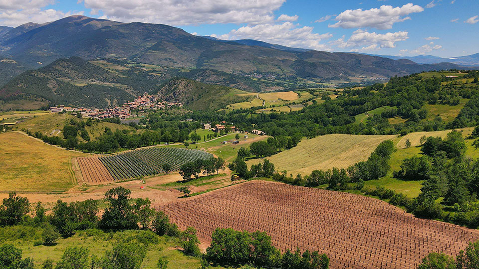Finques del celler Cal Mandrat ©GamiOrbegoso