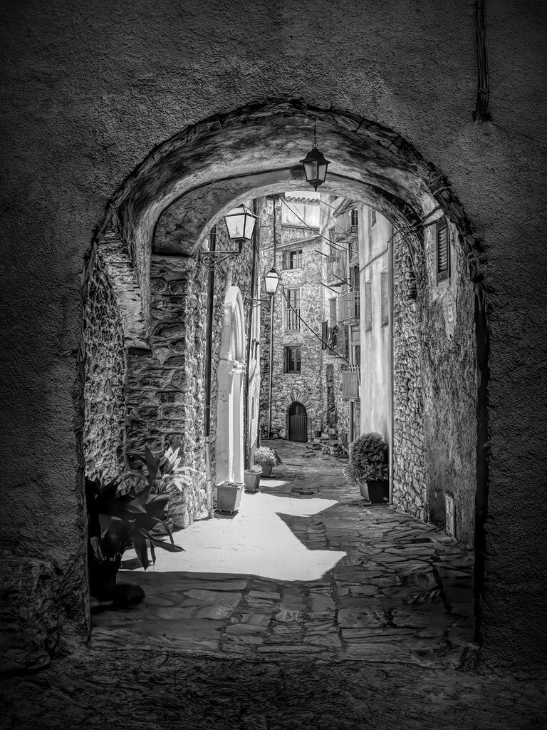 MILLOR FOTO concurs Vall Fosca 2021