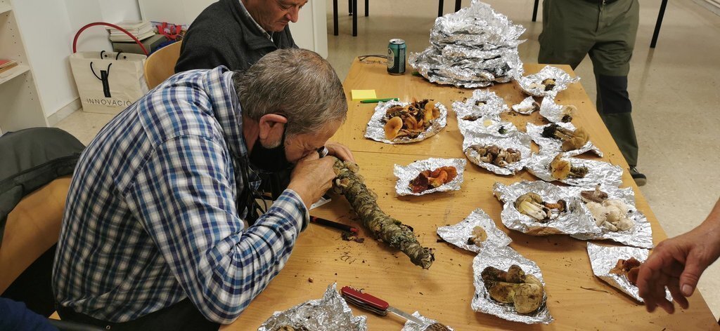 Exposició bolets Llavorsí 2