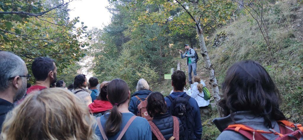 Bosc de Montenartró