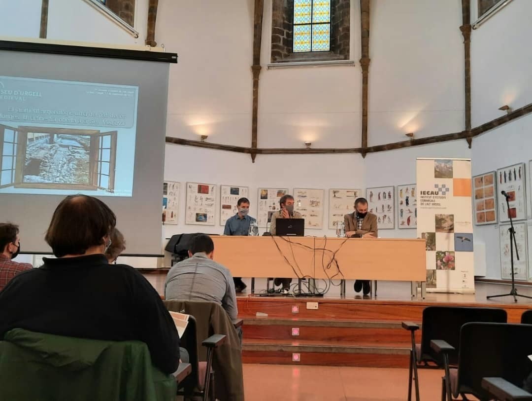 Estudis Comarcals de l'Alt Urgell VI 2